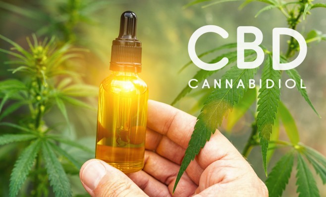 Quelles sont les vertus thérapeutiques de l'huile CBD ?